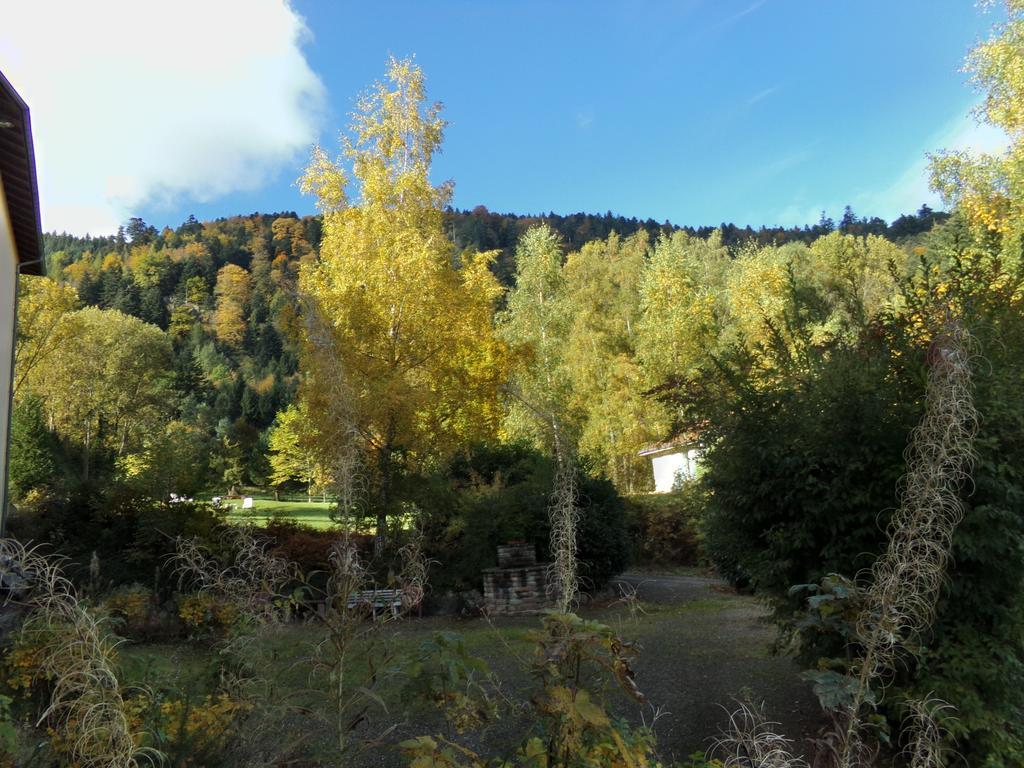 Hotel-Spa & Restaurant Logis Domaine Langmatt Murbach Exterior foto